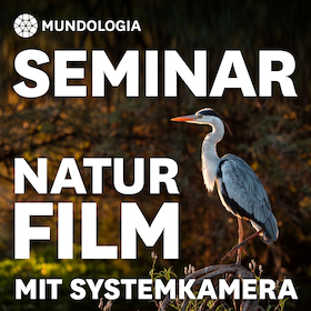 Bild: MUNDOLOGIA-Seminar: Naturfilm in der Praxis