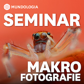 Bild: MUNDOLOGIA-Seminar: Makrofotografie