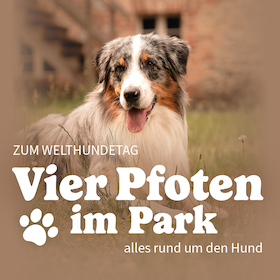 Bild: Vier Pfoten im Park - Alles rund um den Hund zum Welthundetag