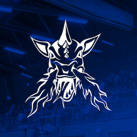 Bild: VfL SparkassenStars Bochum vs. Artland Dragons