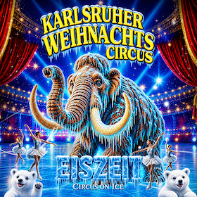 Bild: 17. Karlsruher Weihnachtscircus - Sonderveranstaltung der Volksbank pur