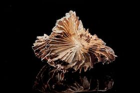 Bild: Nerikomi – Farbe als Material