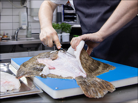 Bild: Küchenhandwerk - Fischfiletierkurs