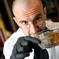 Bild: Dr. Mark Benecke - Serienmord
