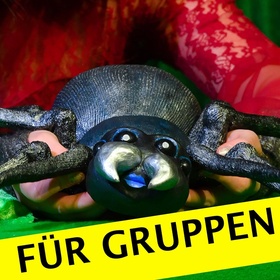 Bild: Otto, die kleine Spinne - Gruppenvorstellung