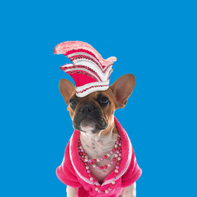 Bild: Die Köln-Show - Jeder Mensch kann Kölner werden - in nur 60 Minuten