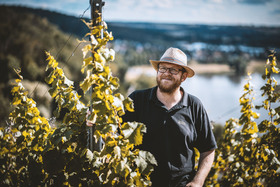Bild: Erlebnistag in den sächsischen Weinbergen inkl. Schifffahrt, Weinwanderung, Weinprobe & Brotzeit - inkl. Schifffahrt, Weinbergwa