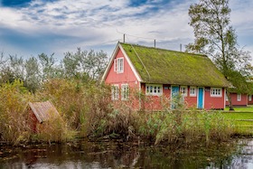 Bild: Insel Kirr - Exklusive Radwanderung ins Vogelparadies