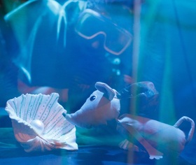 Bild: mutig, mutig - Lorenz Pauli & Kathrin Schärer / 3+