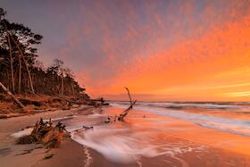 Bild: Abendwanderung im Nationalpark