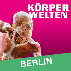 Bild: KÖRPERWELTEN | Berlin | Tagesticket