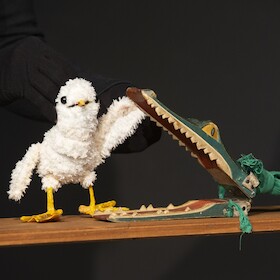 Bild: Socke findet ein Ei - Im Botanischen Garten