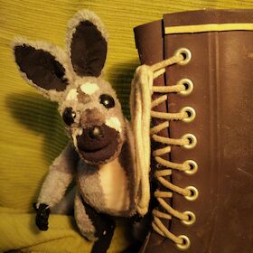 Bild: Klara Kängurukind (4+)