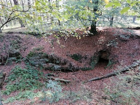 Bild: Wanderung: Sagenhafte Wanderung durch die Emmelkämper Mark