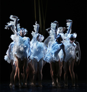 Bild: Schwanensee - Tanztheater