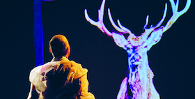 Bild: Königin der Realität