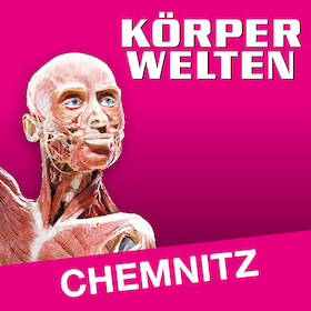 Bild: KÖRPERWELTEN | Chemnitz | Flex- / Geschenkticket