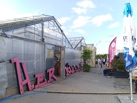 Bild: Sommer-Kabarett: 9m² - 800 kalt