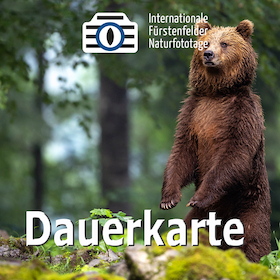 Bild: Dauerkarte 2026
