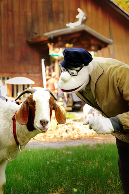 Bild: Werner Momsen - Momsen, Tiere, Sensationen