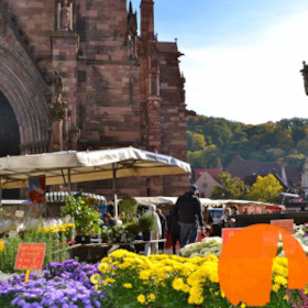 Bild: Freiburg für Einsteiger - öffentliche Stadtführung