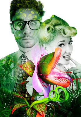 Bild: der kleine horrorladen - musical von alan menken und howard ashman