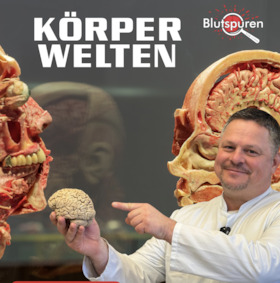 Bild: Ein Anatomie-Abenteuer über das Leben