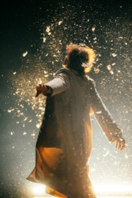 Bild: BirdsLAND - 3 TAGE FREI