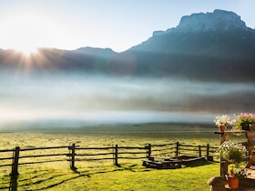 Bild: Frühlingswanderung ins Röthelmoos