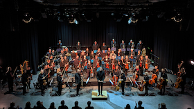 Bild: Louis Spohr Orchester Braunschweig - Ein sinfonisches Programm mit Brahms, Weber und Schubert