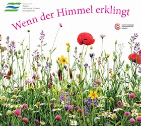 Bild: Sommerkonzert - Wenn der Himmel erklingt