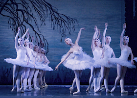 Bild: Schwanensee Ballett