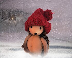 Bild: Der kleine Igel und die rote Mütze