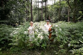 Bild: Musik live im Dormitorium - Stereo Naked - Bluegrass und Irish Folk Redefined