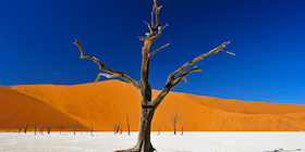 Bild: PLANETVIEW präsentiert: Namibia & Botswana