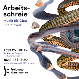 Bild: Freiburger Kammerchor - Arbeitsschreie