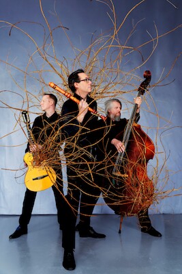Bild: Wildes Holz - Wurzeln