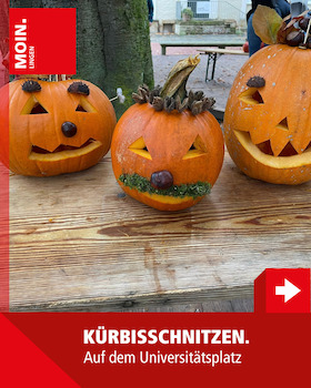 Bild: Kürbis schnitzen - auf dem Universitätsplatz