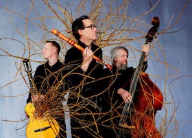 Bild: Wildes Holz - Wurzeln – Tour 2028