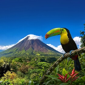Bild: COSTA RICA – Natur pur